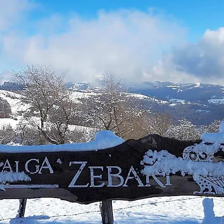Bed & Breakfast Malga Zebari
